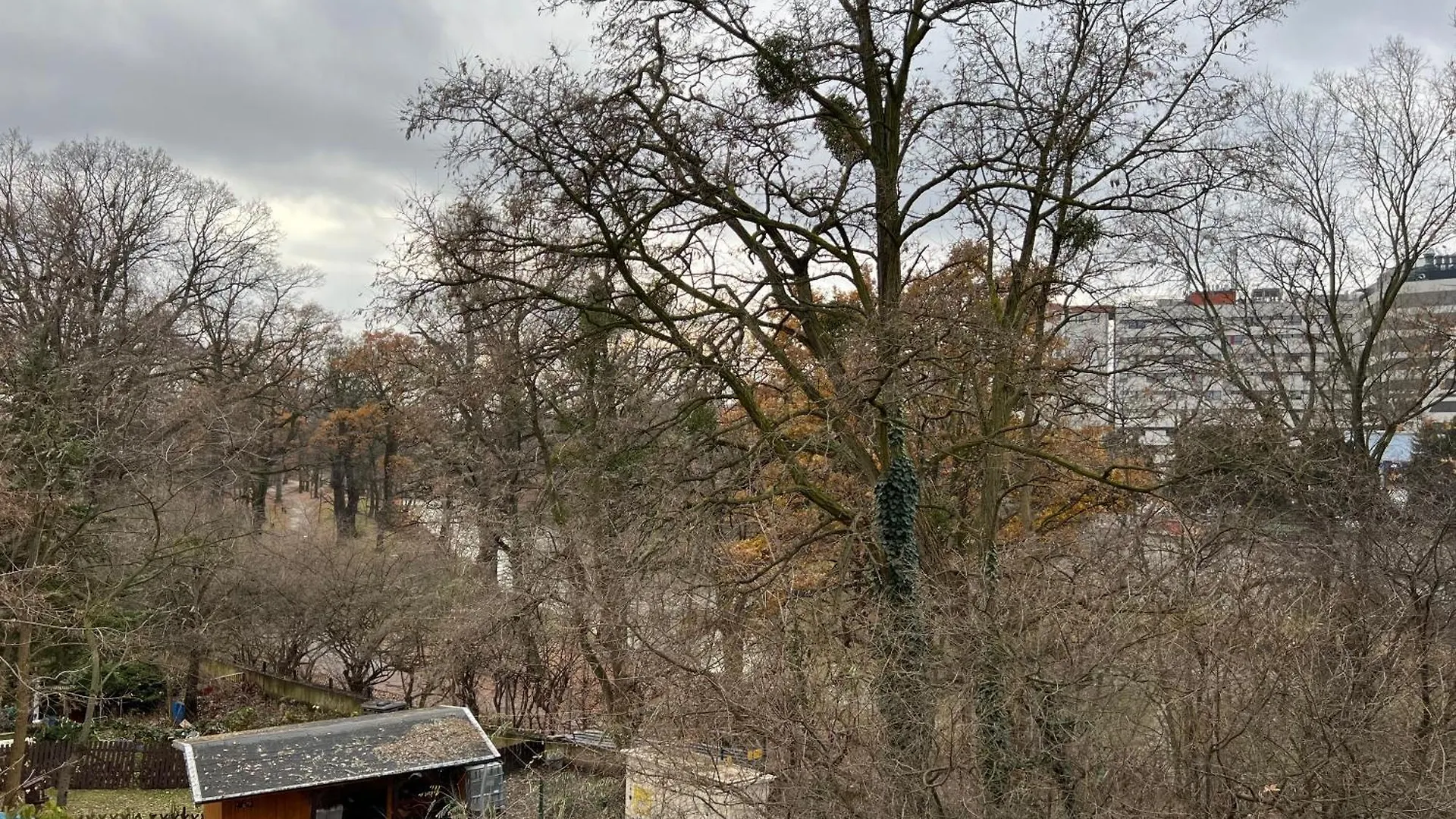 Parkside Charm By The Odra River Near Zoo Wroclaw